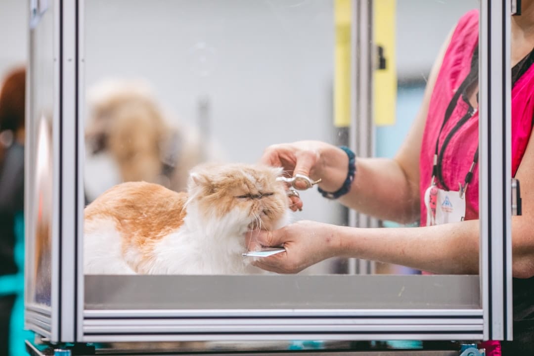 Buds & Suds Pet Grooming — Dog Grooming