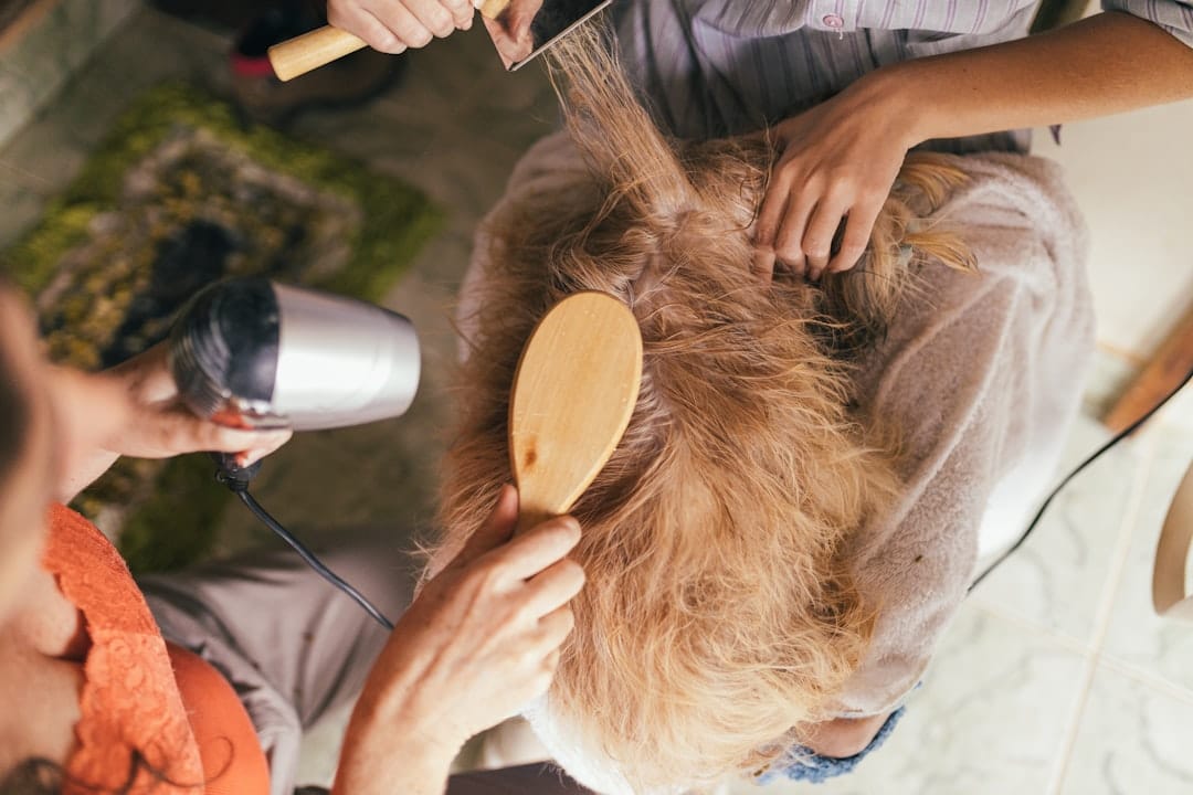 Dog Grooming in Albury