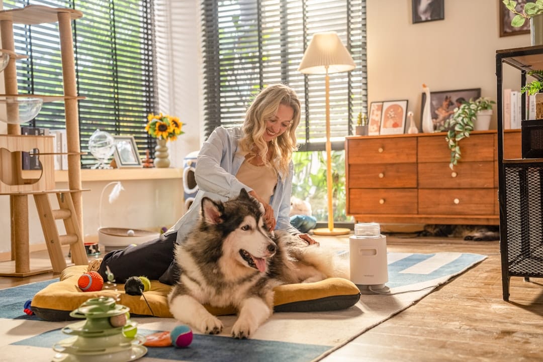 The Polished Pet, Dog Grooming