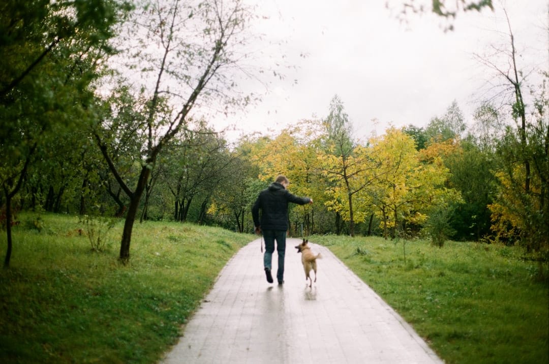 Dog Walking