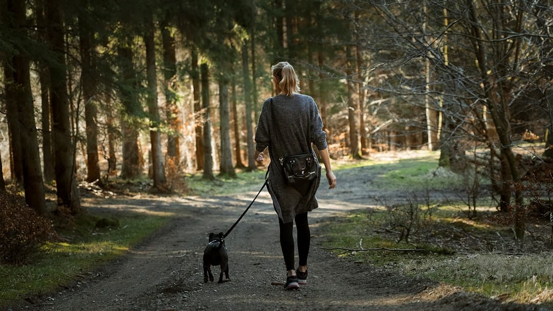 Happydog Walking, Dog Walking