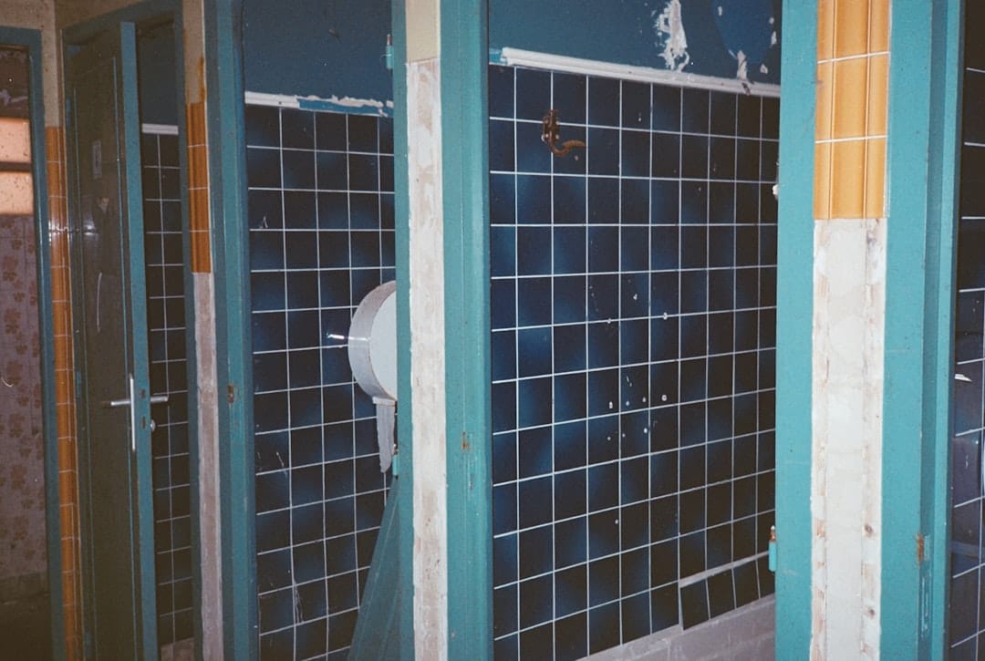 Glenhaven Boarding Cattery, Pet Boarding
